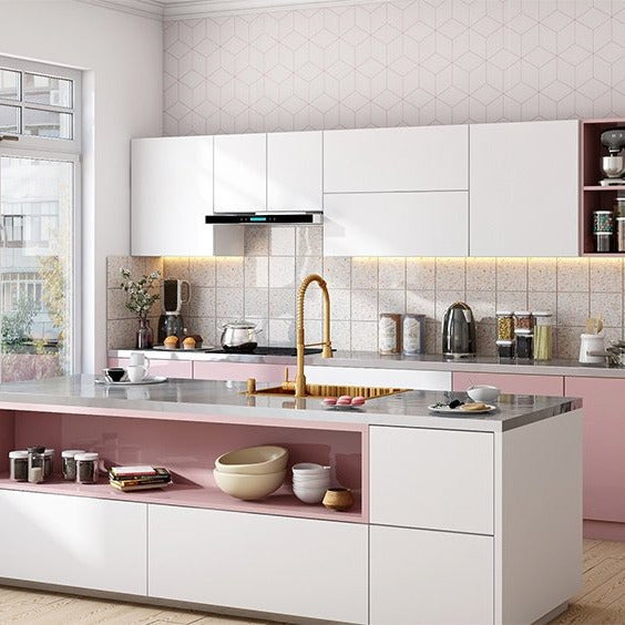 Factory Direct Island 304 Kitchen Cabinet - Corrosion Preventive, Modern Minimalist