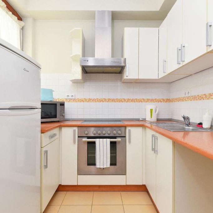 Luxury U Shaped 304 Kitchen Cabinet - Anti Insect, Meal Preparation Area