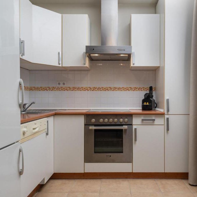 New Product U Shaped Stainless Steel Kitchen Cabinet - Moisture Resistant, Villa
