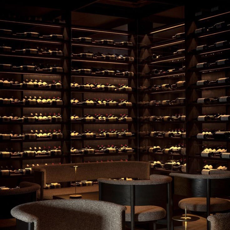 For Living Room Stainless Steel Wine Cellar Wine Storage Cabinet With Energy-efficient Ventilation