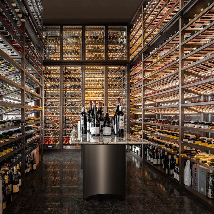 Child Safety Lock Stainless Steel Wine Cellar Wine Storage Cabinet For Apartment