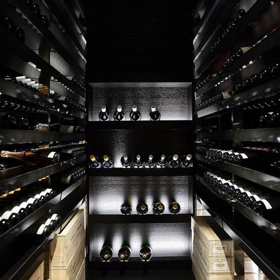 Constant Humidity Control 304 Stainless Steel Wine Cellar Wine Cabinet For Kitchen